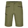 Ortovox PELMO SHORTS M (wild herbs)