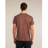 Icebreaker M Mer Core SS Tee Kanu Begleiter CAROB (MEDIUM RED)