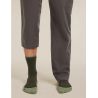 ICEBREAKER M Mer Hike+ Light Crew DK LODEN/LICHEN (OLIVE)