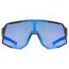 Uvex Uvex SEQUENZE CV (SVART MATTA / MIR.BLUE)