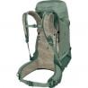 Osprey Stratos 36 Pine Leaf ()