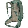 Osprey Stratos 34 Hoja de Pino ()