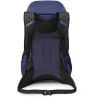 Osprey Hikelite LT 30 Botswana Purple ()