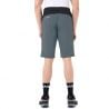 Vaude Men's Tekoa Shorts IV (heron)