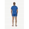 Devold BREEZE MERINO 150 T-SHIRT UOMO (ROYAL)