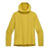 Outdoor Research Men's ActiveIce Spectrum Sun Hoodie Amber Heather, L ()