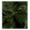 Sac de couchage HAGLOFS Scand Down +5 (Olive green/Magnetite)