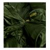 Sac de couchage HAGLOFS Scand Down +5 (Olive green/Magnetite)