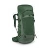 Ryggsäck Osprey Talon 44 (Green Canopy/Pine L) Herr