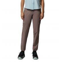 Pantalones de senderismo Columbia Silver Ridge Elite Pant (Iron) Mujer