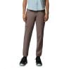 Hiking Pants Columbia Silver Ridge Elite Pant (Iron) Women