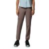 Silver Ridge Elite Pant -Rauta
