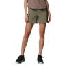 Silver Ridge Elite Shorts-Steingrün