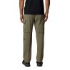 Convertible Hiking Pants Silver Ridge Elite (Stone Green) Men