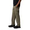 Convertible Hiking Pants Silver Ridge Elite (Stone Green) Men