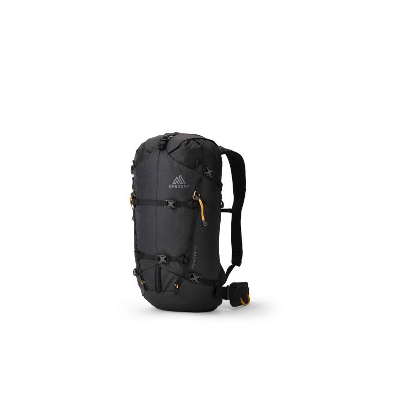 Sac à dos d'alpinisme Gregory ALPINISTO 30 MD/LG (SUMMIT BLACK)