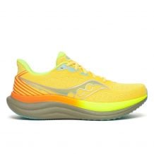 Running shoes Saucony TRIUMPH 23 (VIZIGOLD/LAUREL) men
