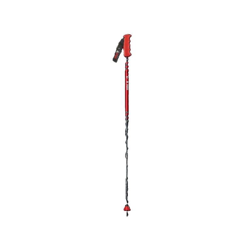 Bâtons de ski VOLA New Géant Carbone 