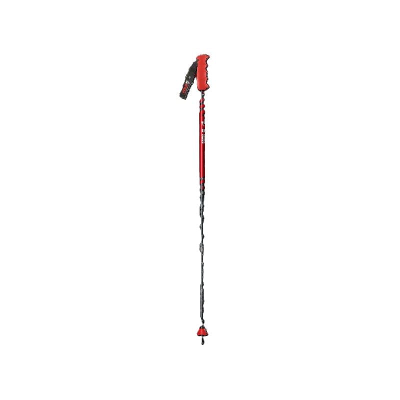 Ski Poles Vola New Geant Carbone