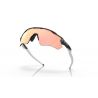 Oakley RADAR EV PATH (CARBON / PRIZM ROSE GOLD)