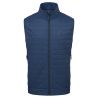 Doudoune sans manches Fractal Mens Vest (Dusk/Cosmos) Homme