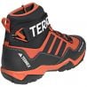TERREX HYDRO_LACE 2.0 CBLACK/SEIMOR/FTWWHT