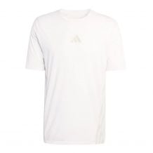 Camiseta de trail running Adidas Terrex Xperior CLIMACOOL+ (WHITE) Hombre