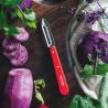 Pelapatate n°11 5 Rosso Paesaggio - Opinel