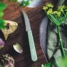Gemüse Nr. 114 Salbei Landschaft - Opinel