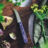 Verdure n°114 Viola Paesaggio - Opinel