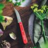 Vegetables n°114 Red Landscape - Opinel