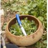Mein Erstes Opinel N°07 Edelstahl Blau (6Stück) - Opinel