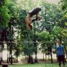 Spider Slacklines SLACKLINE KIT - PRO LINE 20 ()