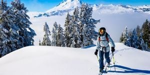 Ski de fond