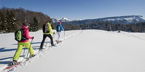 Snowshoes EVVO
