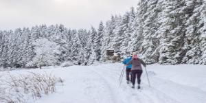 Langlauf-Paket mit Bindung