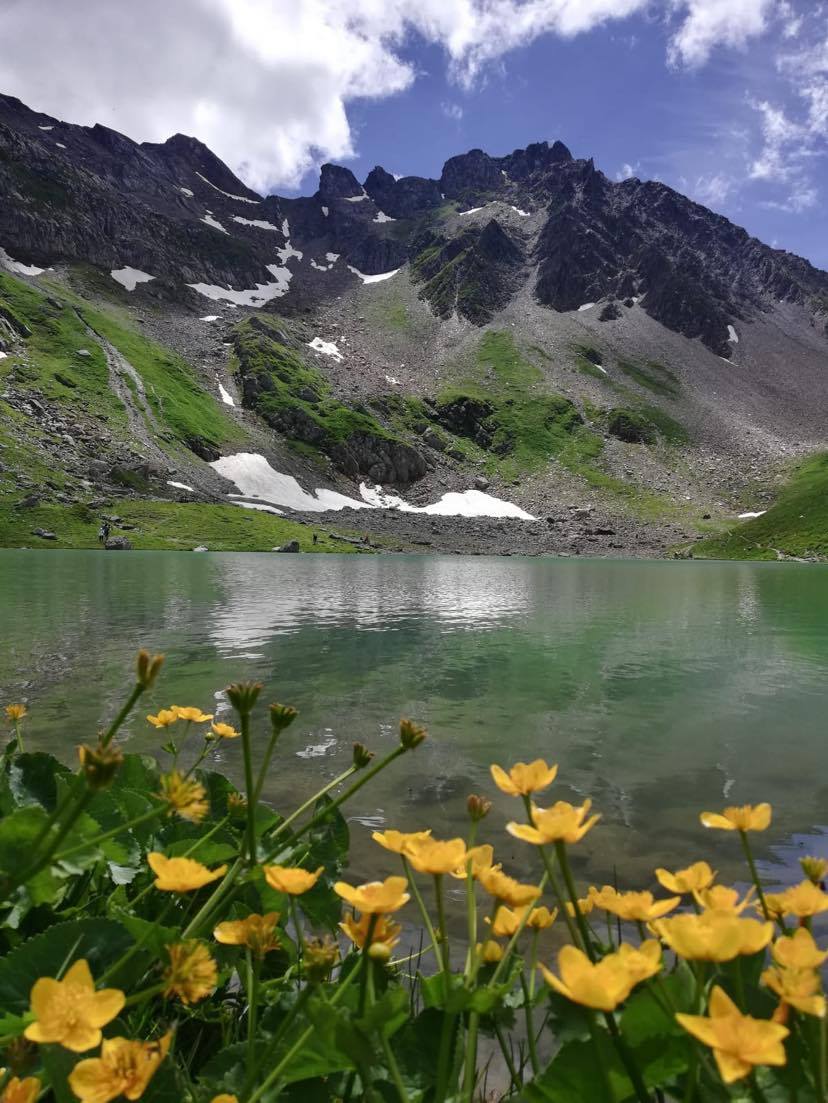 fjell biodiversitet
