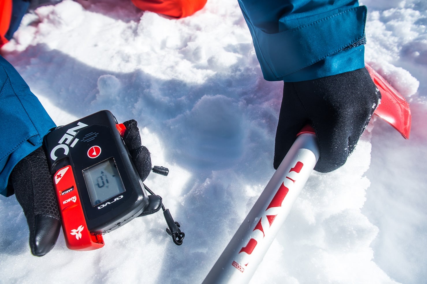 Arva Avalanche victim search