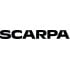 Scarpa